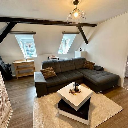 Logement Entier Au Coeur De Страсбург Экстерьер фото