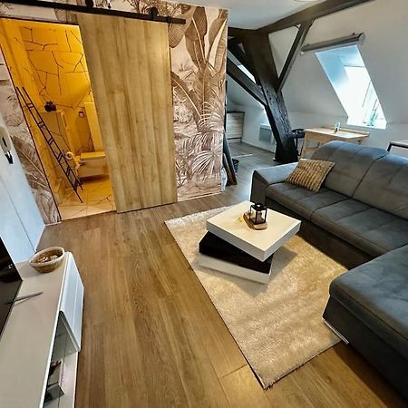 Logement Entier Au Coeur De Страсбург Экстерьер фото