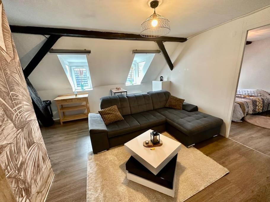 Logement Entier Au Coeur De Страсбург Экстерьер фото