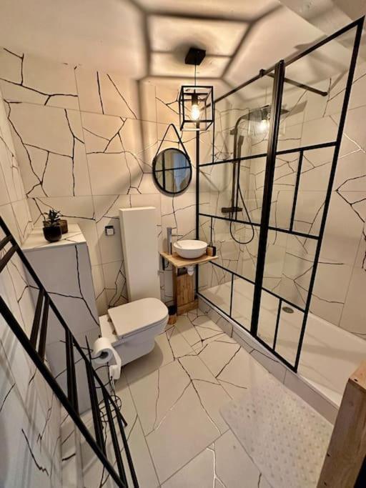 Logement Entier Au Coeur De Страсбург Экстерьер фото