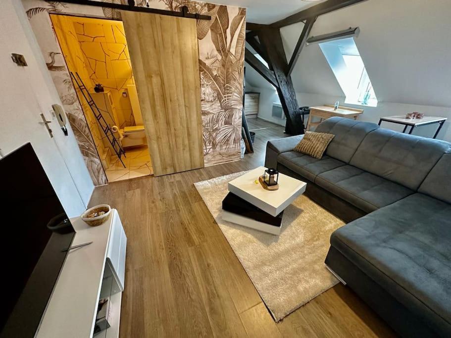 Logement Entier Au Coeur De Страсбург Экстерьер фото